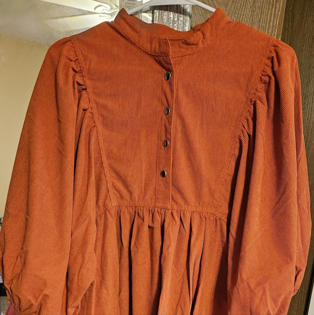Source Unknown Rust Orange Long Sleeve Corduroy Dress